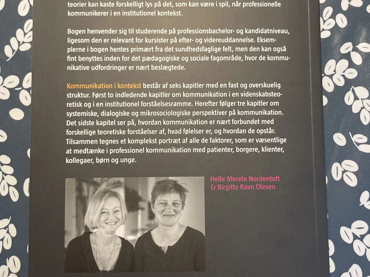 Billede 2 - Kommunikation i kontekst 