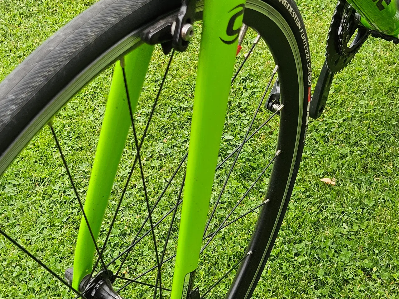 Billede 7 - Canondale Optimo racer