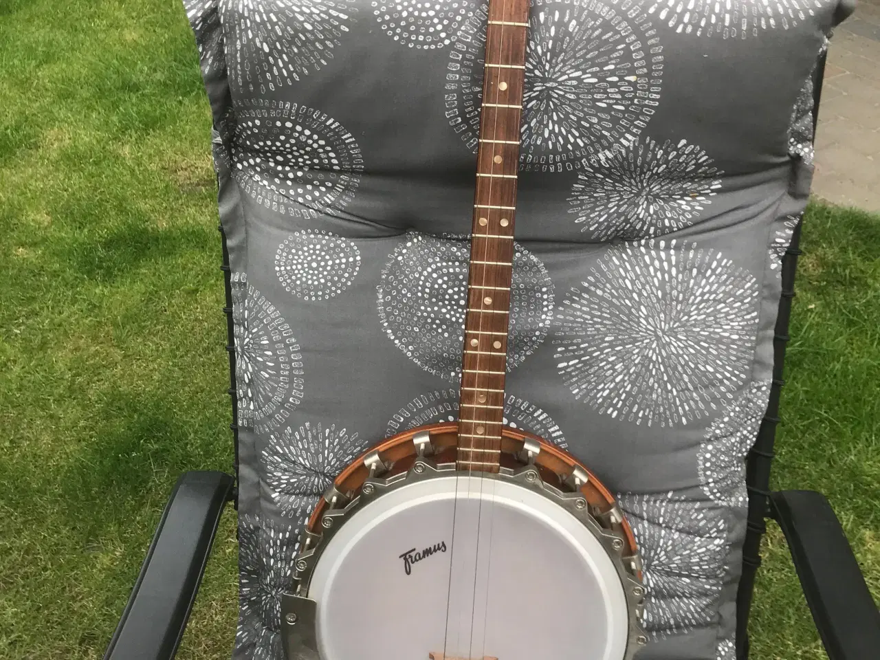 Billede 1 - Banjo