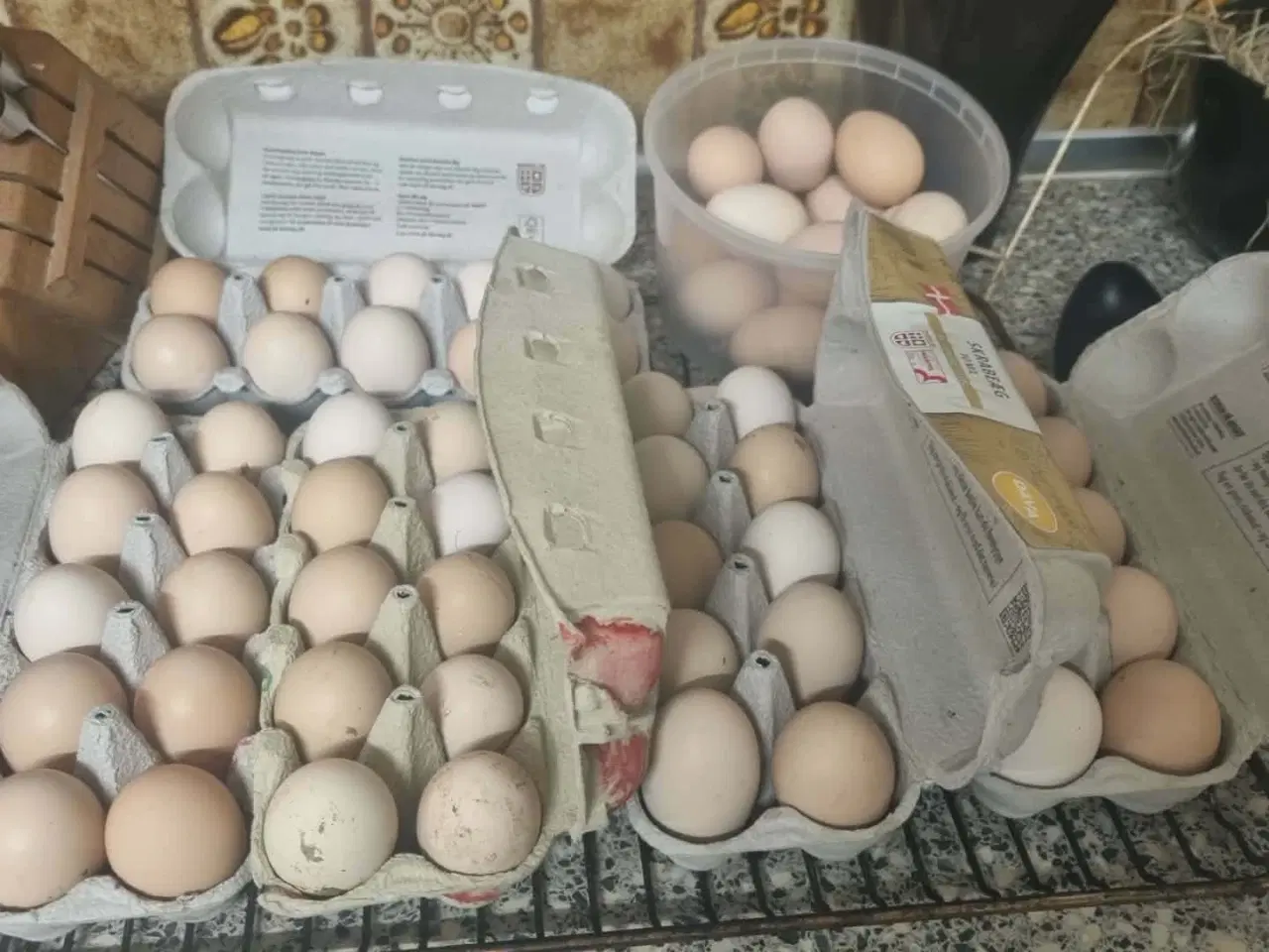 Billede 1 - Rugeæg rød sussex