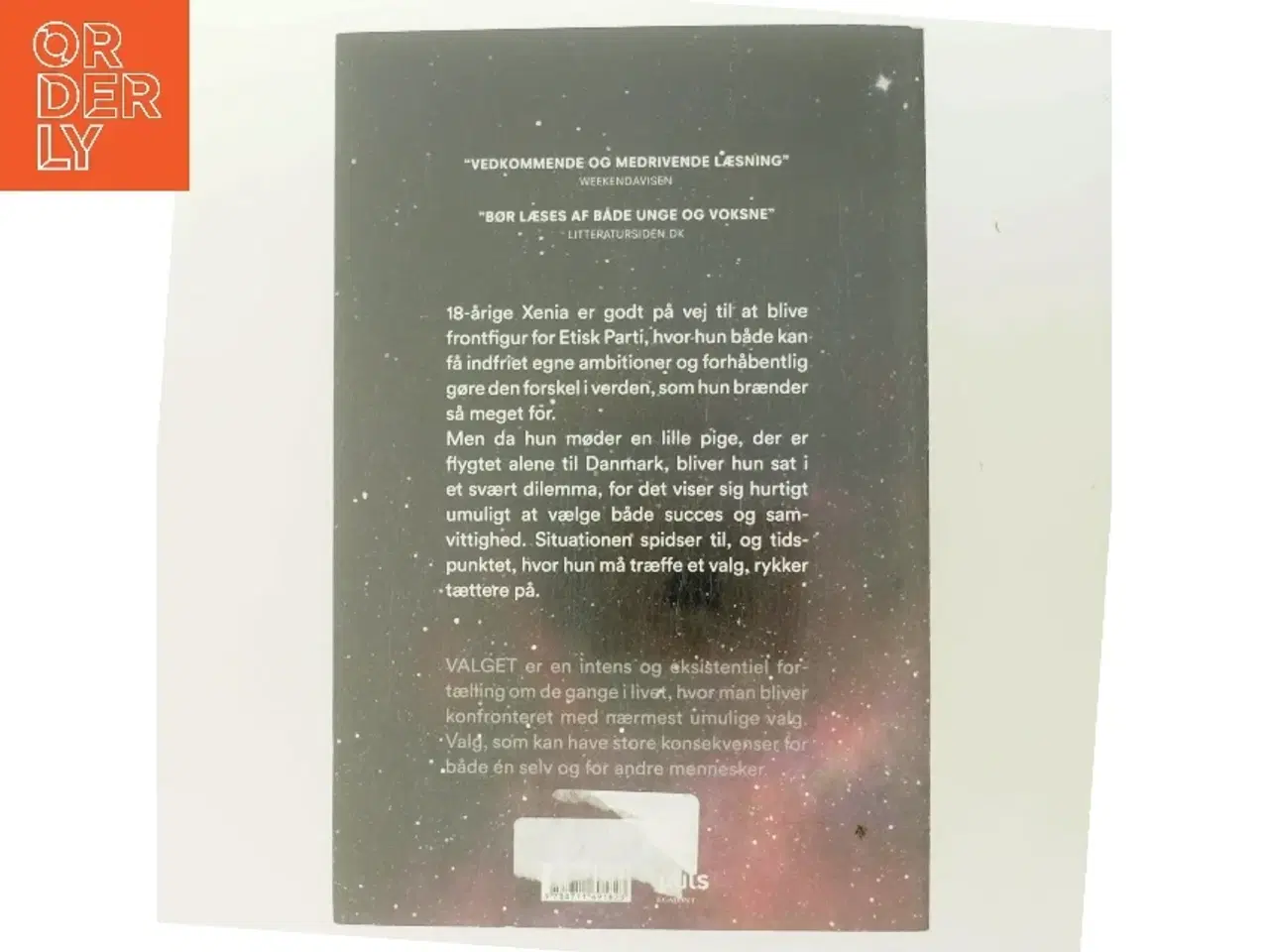 Billede 3 - Valget af Sarah Engell (Bog)