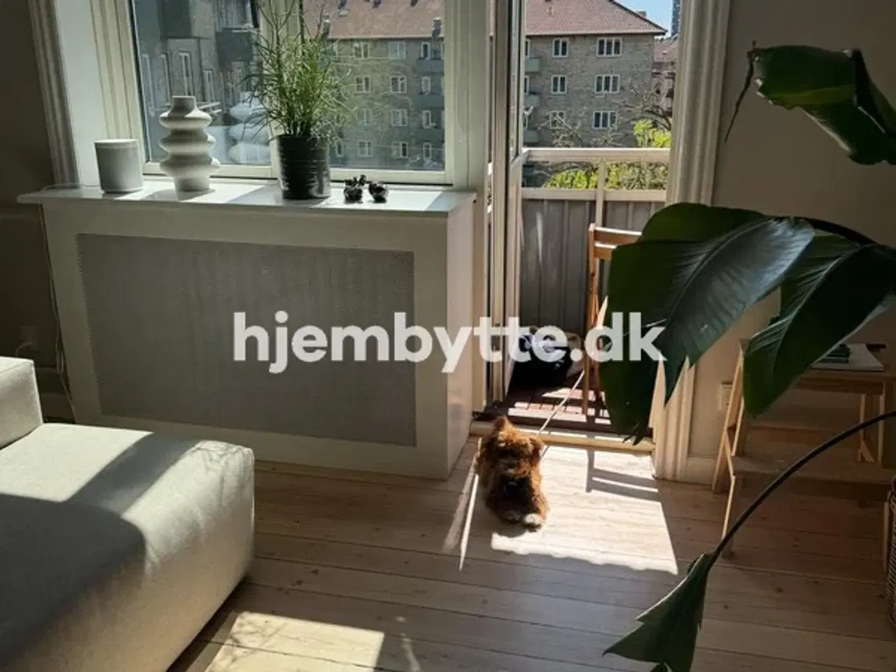 Billede 8 - Hjembytte - Hovmestervej