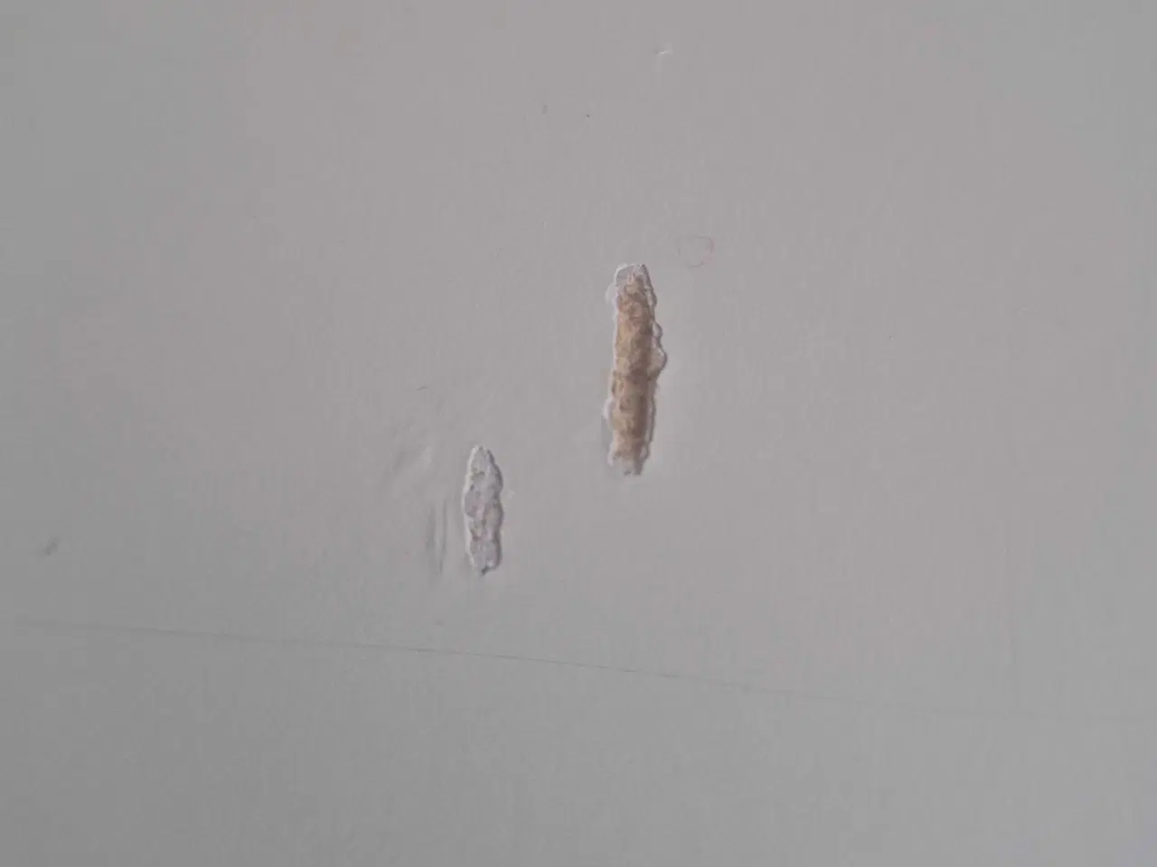 Billede 6 - Gustaviansk spisebordssæt 