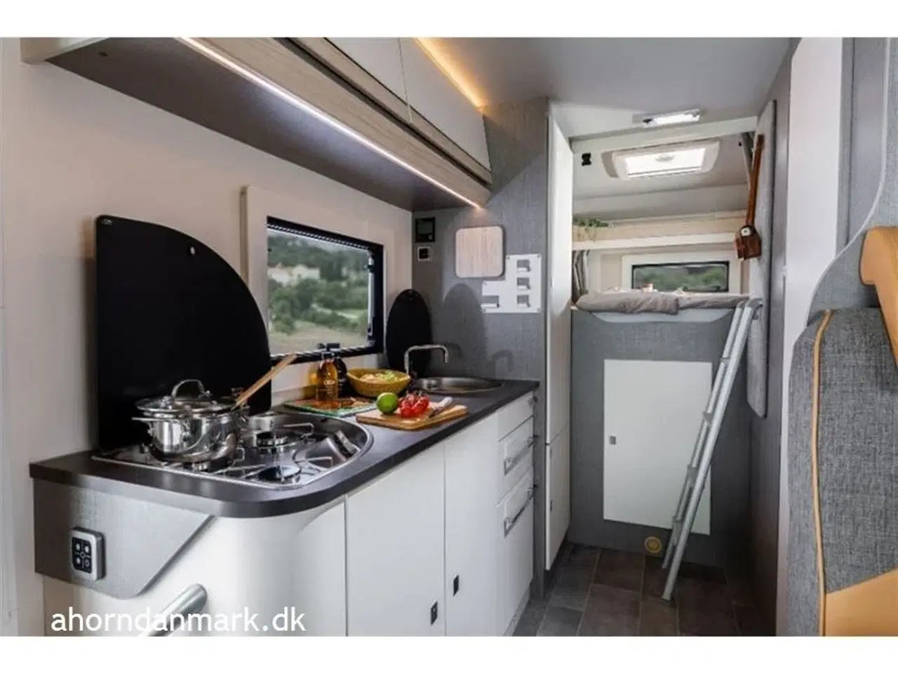 Billede 14 - 2025 - Ahorn Canada AD   Canada AD 2024