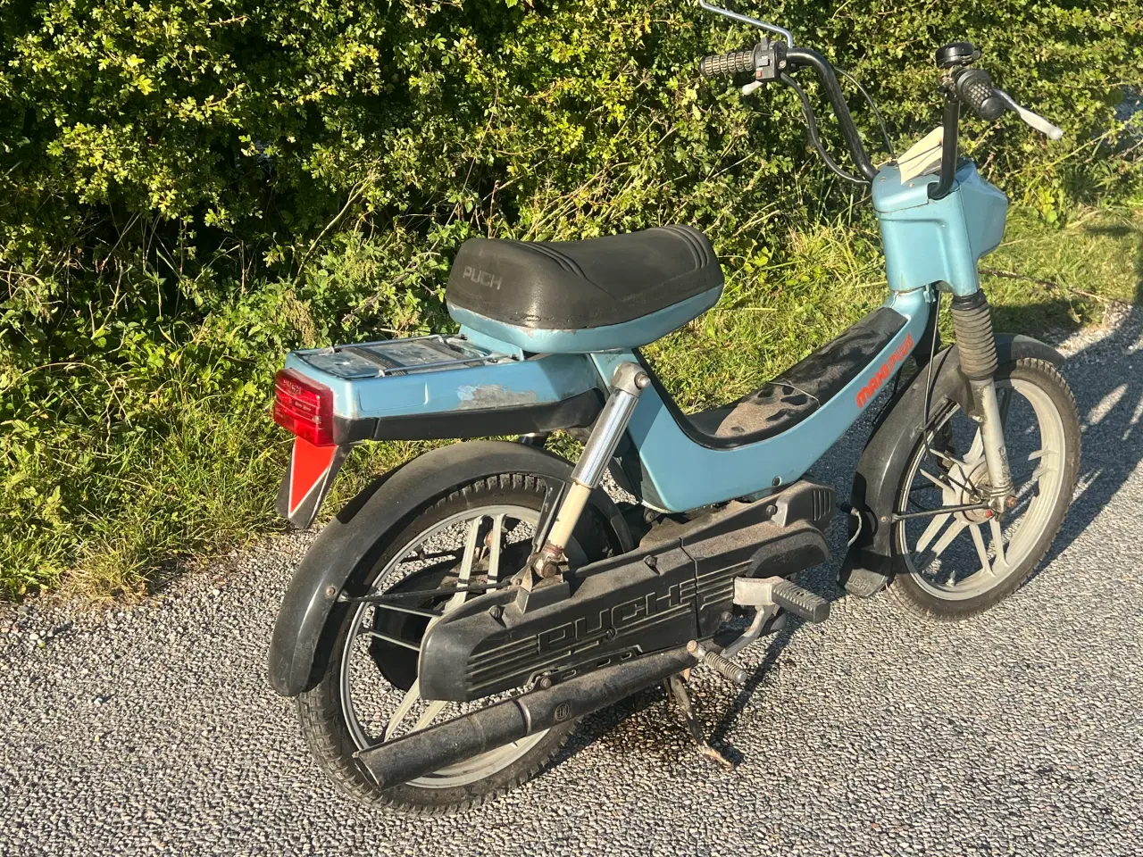 Billede 3 - 1982 puch maxi plus