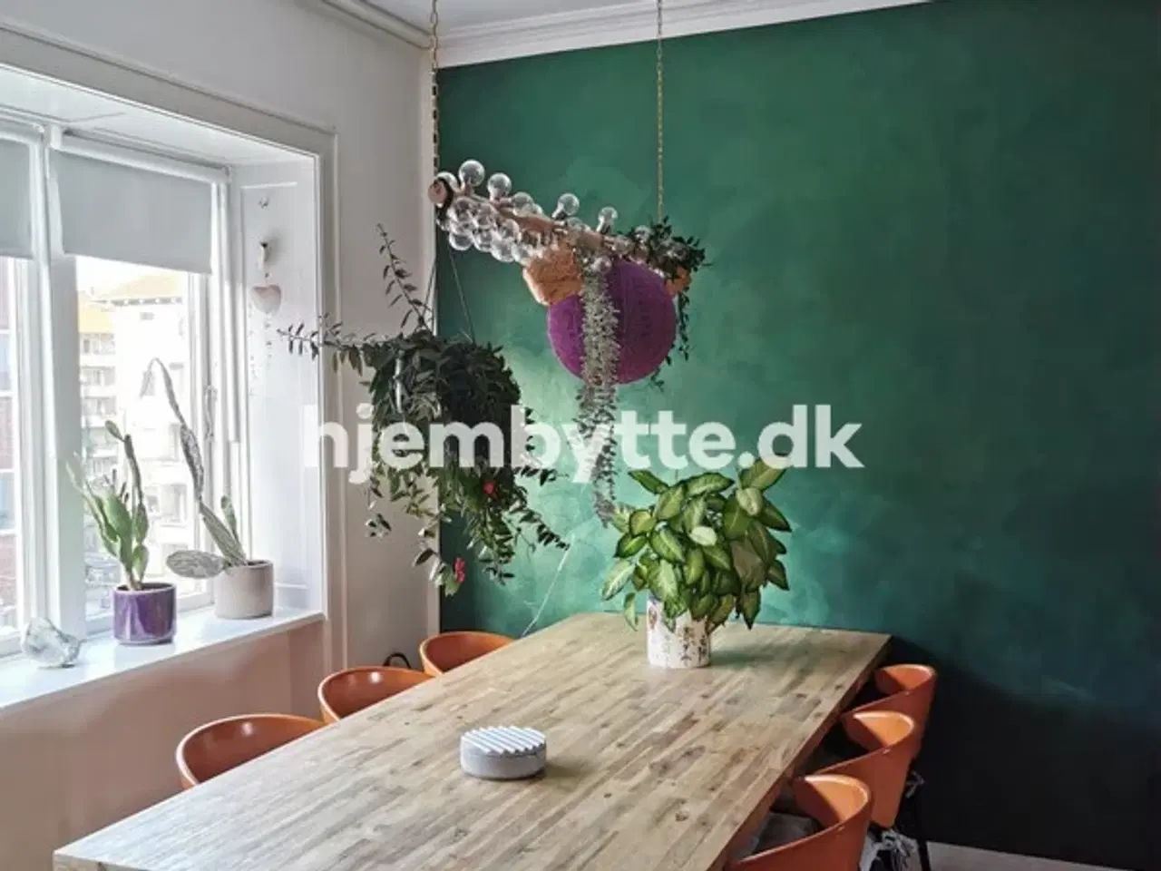 Billede 4 - Hjembytte - Birkedommervej