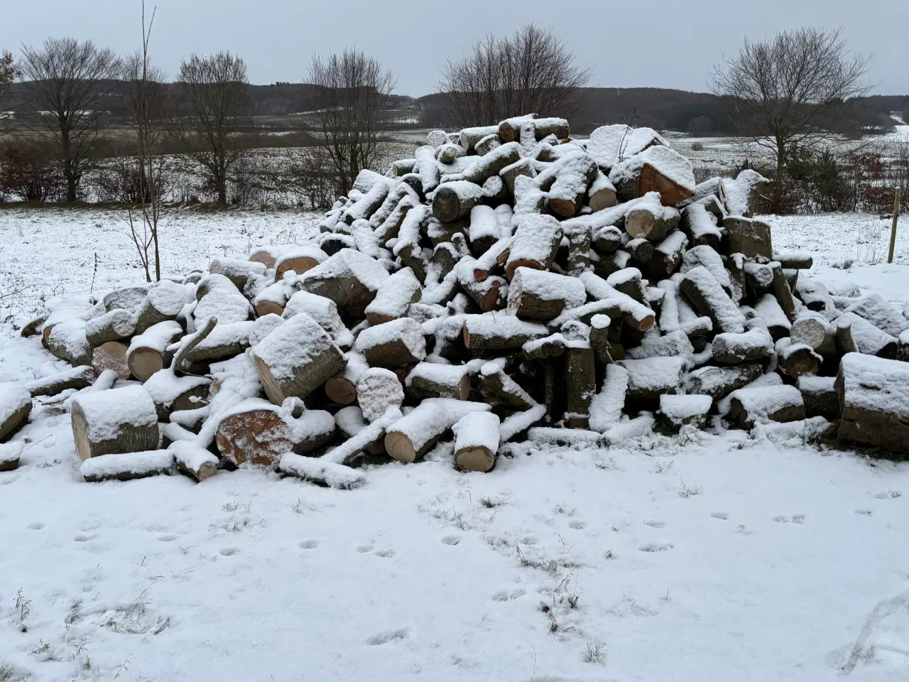 Billede 2 - Brænde sælges ligger i 25-30cm 