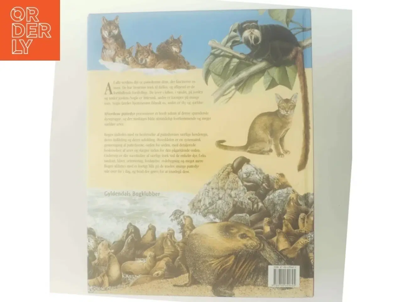 Billede 3 - Alverdens pattedyr af Rupert Matthews (Bog)