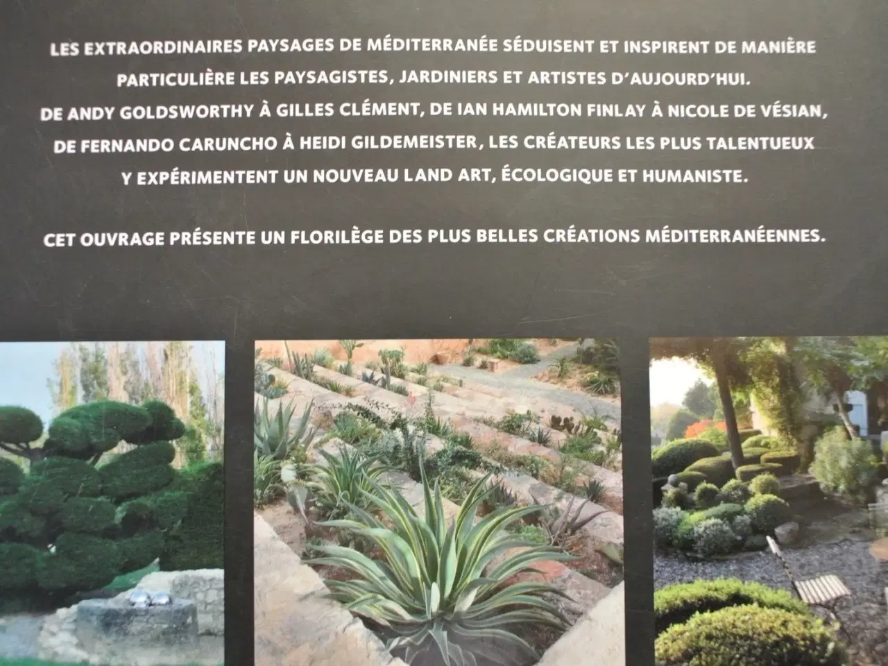 Billede 5 - arts paysagers de mediterranee du traditionnel au 
