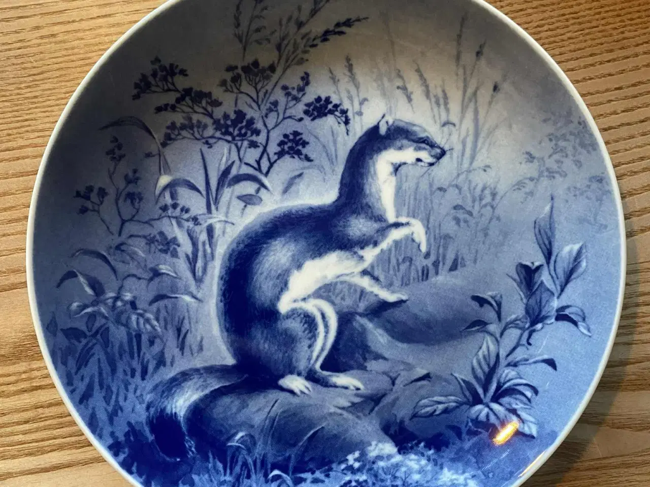 Billede 9 - Tove Svendsen jagtplatter