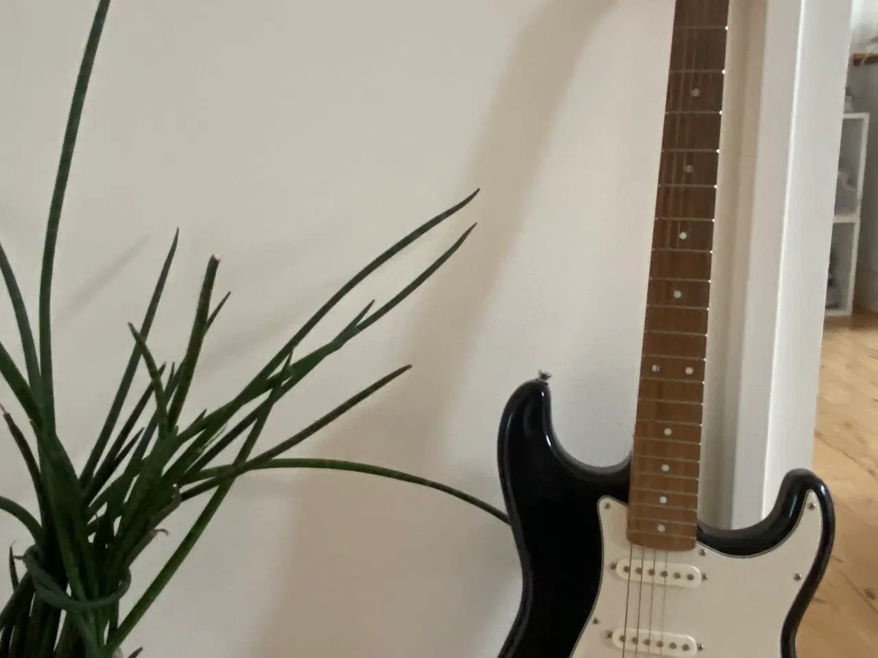 Billede 4 - Fender squier sonic Stratocaster