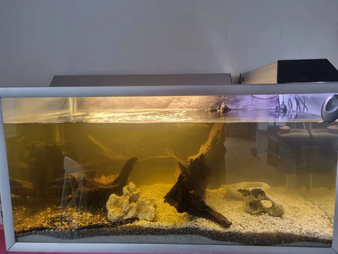 Billede 3 - Akvarie 250L med sand ,grus og dekorationer