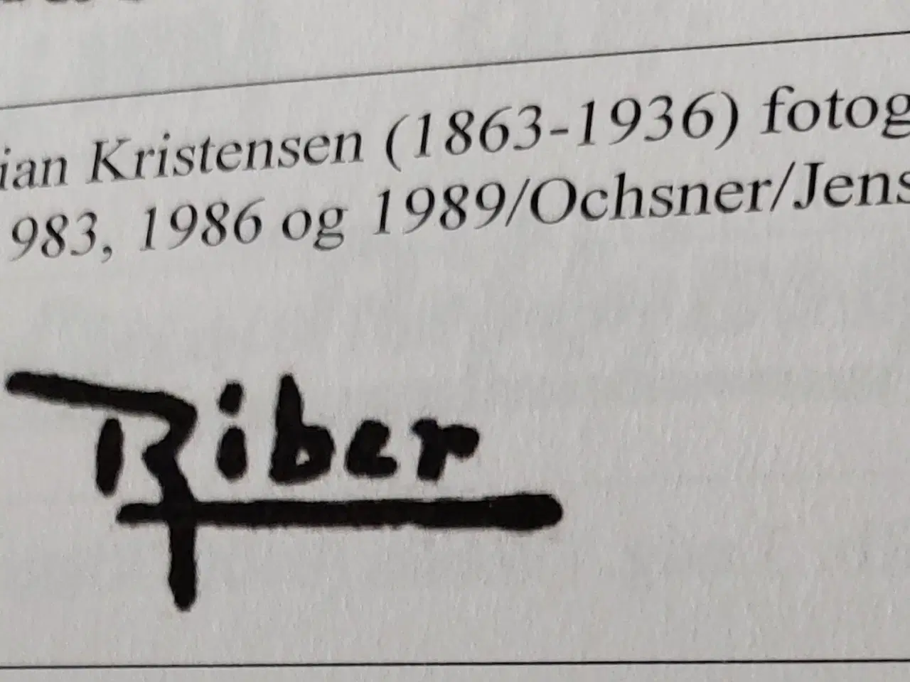 Billede 6 - PEDER RIBER - ( 1863-1936 ) - oliemaleri .- FANØ