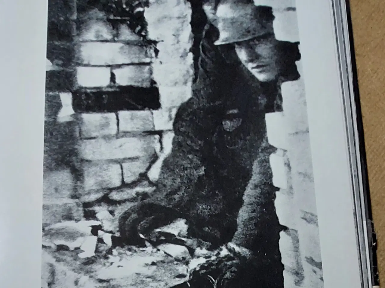 Billede 3 - Tysk bog "Stalingrad en chronik i bilder"