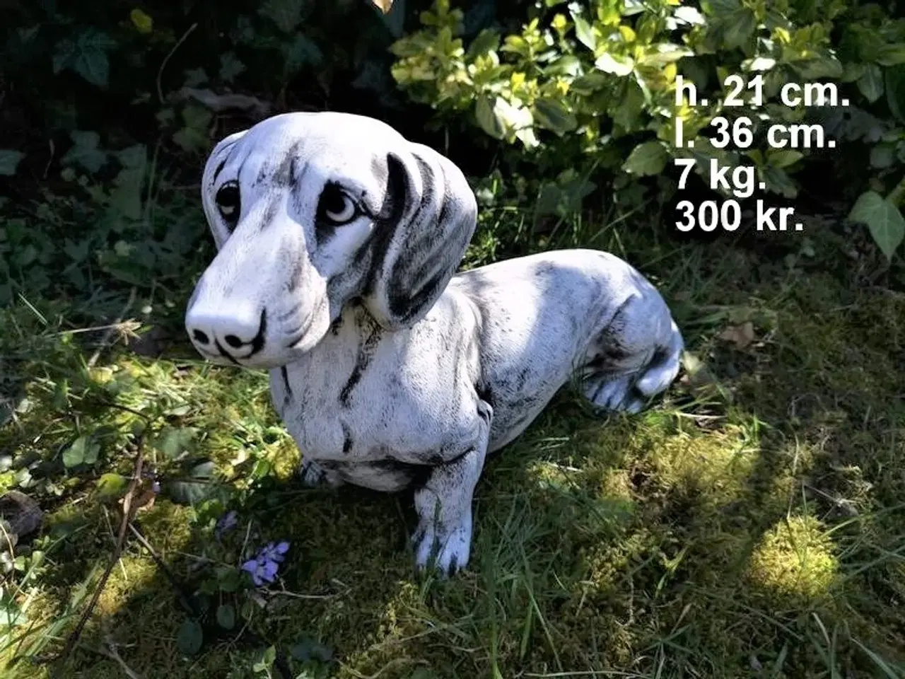 Billede 19 - HAVEFIGUR Smukke betonhunde – forskellige racer 🐾