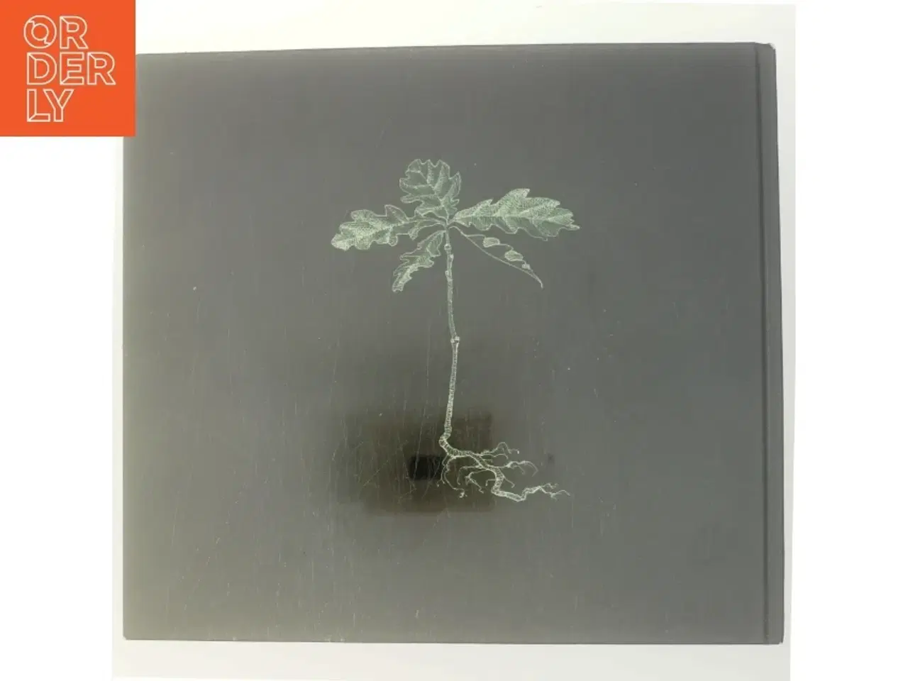 Billede 3 - Naturen i Kulturen / Kulturen i Naturen af Rasmus Nielsen (Bog)