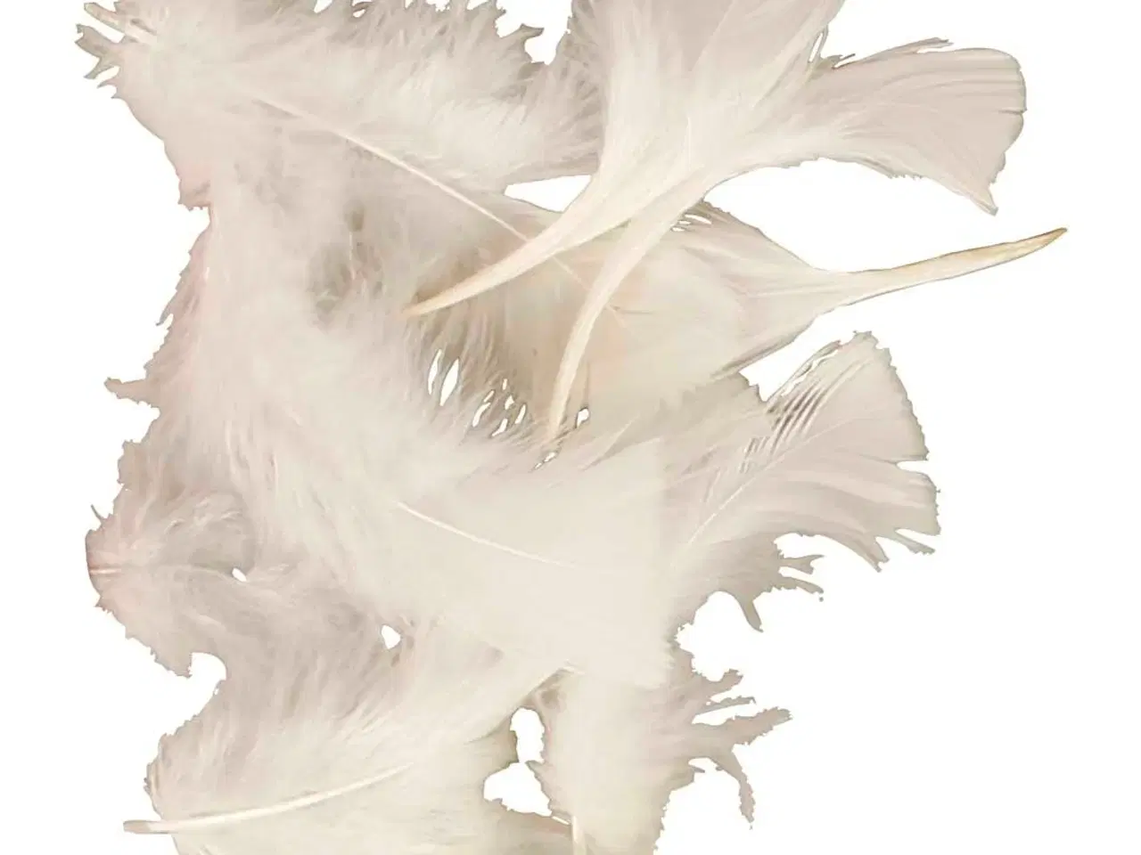 Billede 1 - Dun, str. 7-8 cm, hvid, 50g/ 1 pk.