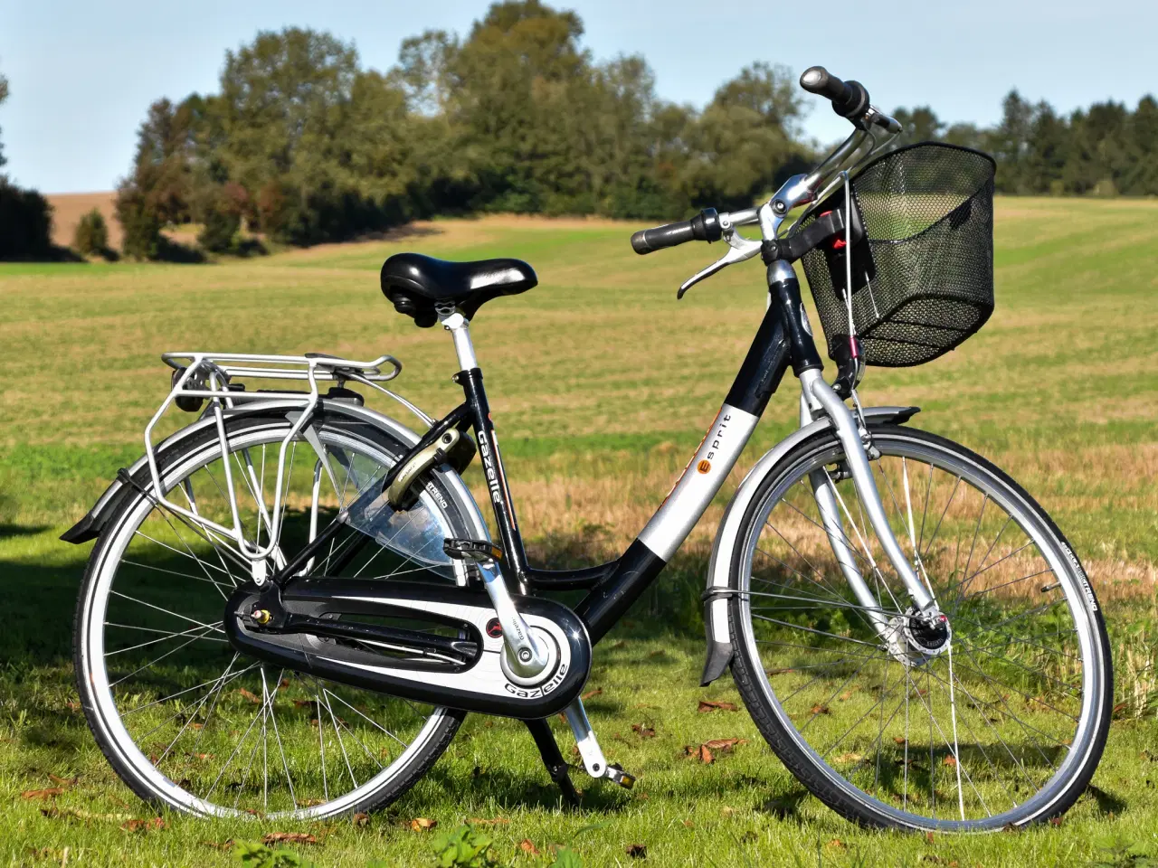 Billede 2 - Gazelle Esprit 7G 49CM