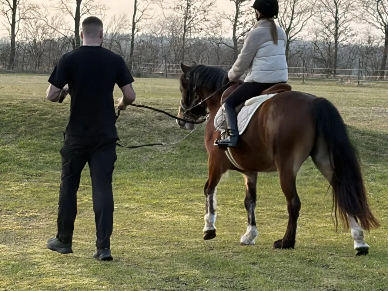 Billede 3 - Welsh Hoppe 