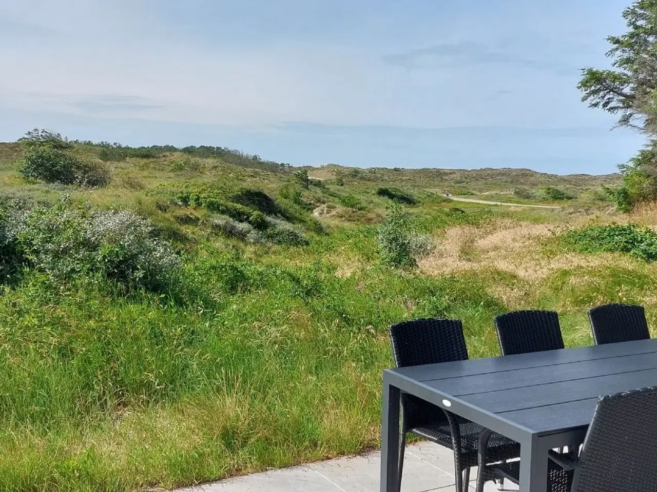 Billede 4 - Luksussommerhus i Vorupør midt i Nationalpark Thy