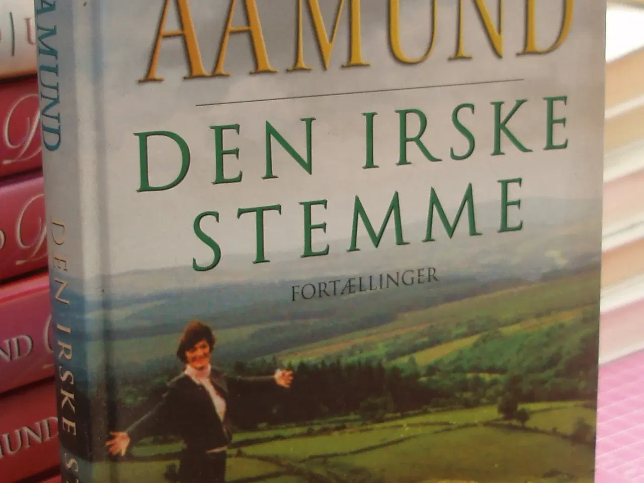 Billede 1 - Den irske stemme af Jane Aamund