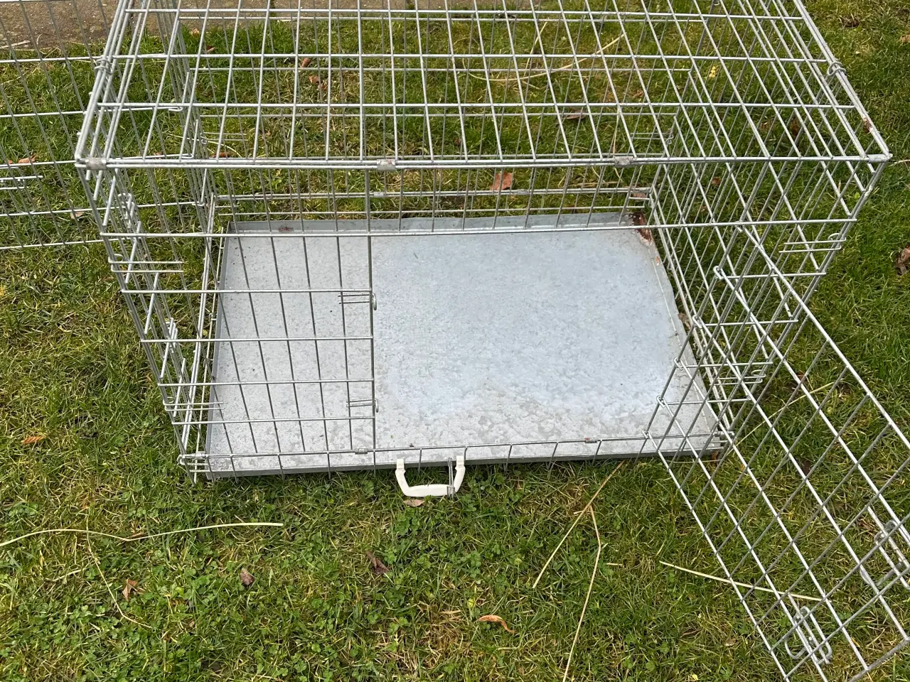 Billede 3 - Hundebur i metal