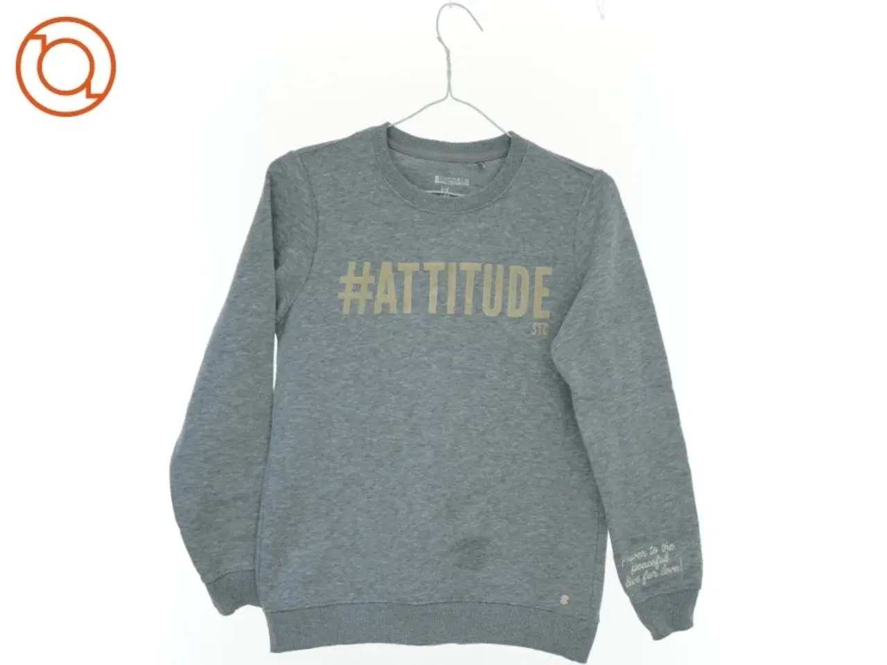 Billede 1 - Sweatshirt (str. 164 cm)