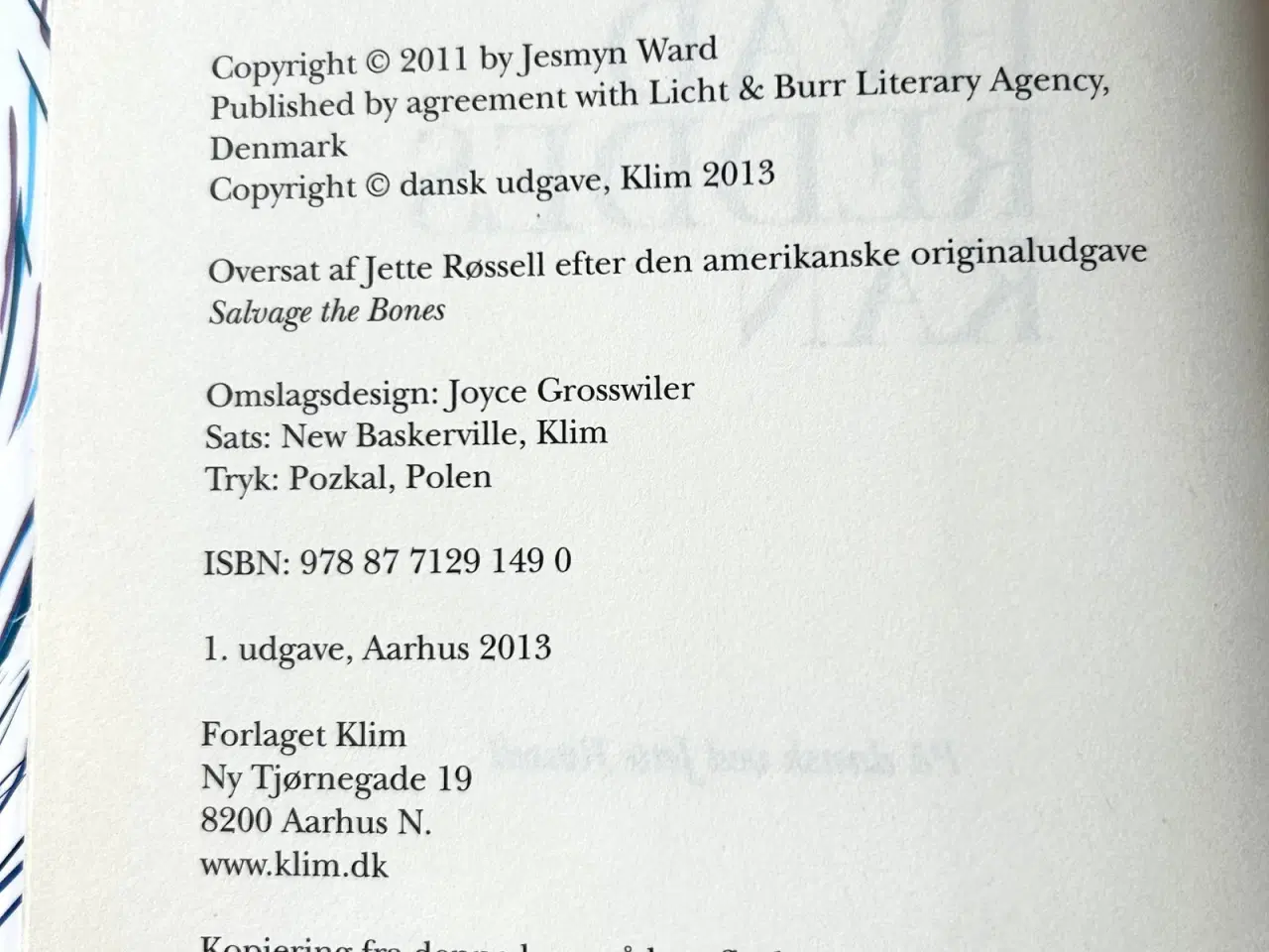 Billede 3 - Hvad Reddes Kan af Jesmyn Ward