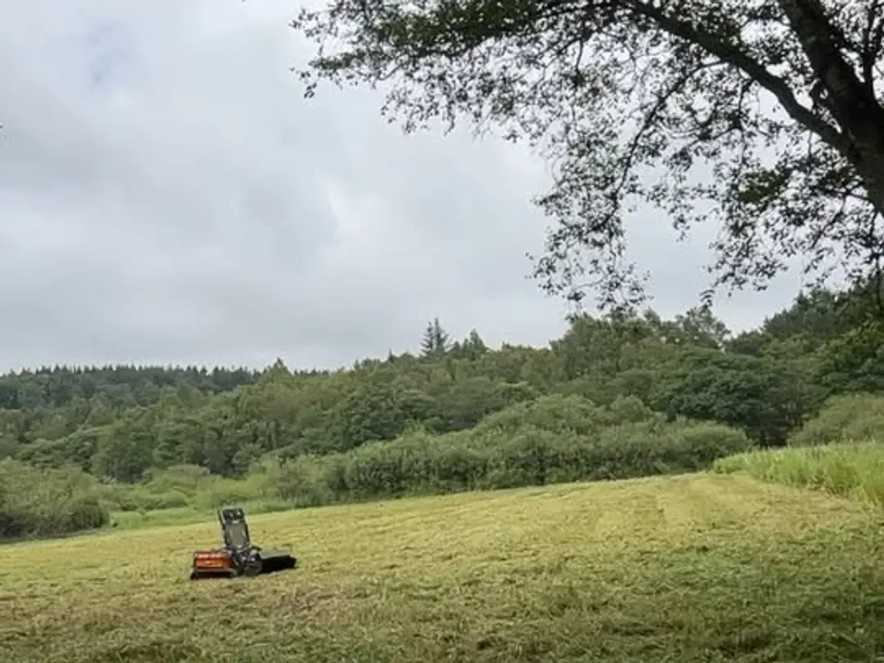 Billede 3 - Skråningsklipper