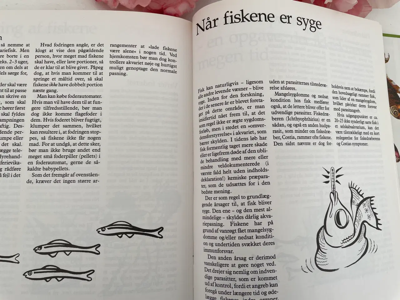 Billede 20 - Akvarie Bogen 