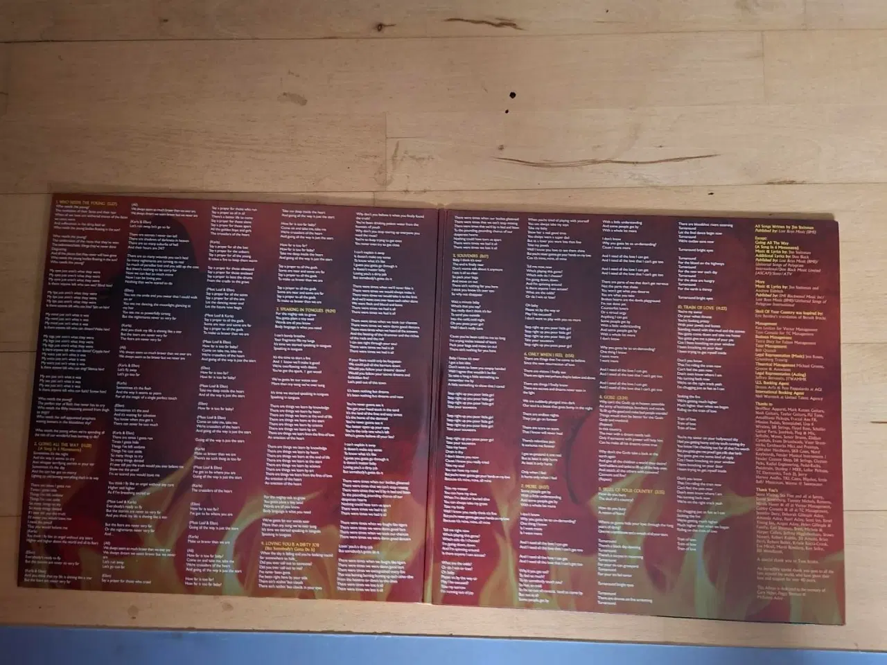 Billede 3 - Meat Loa