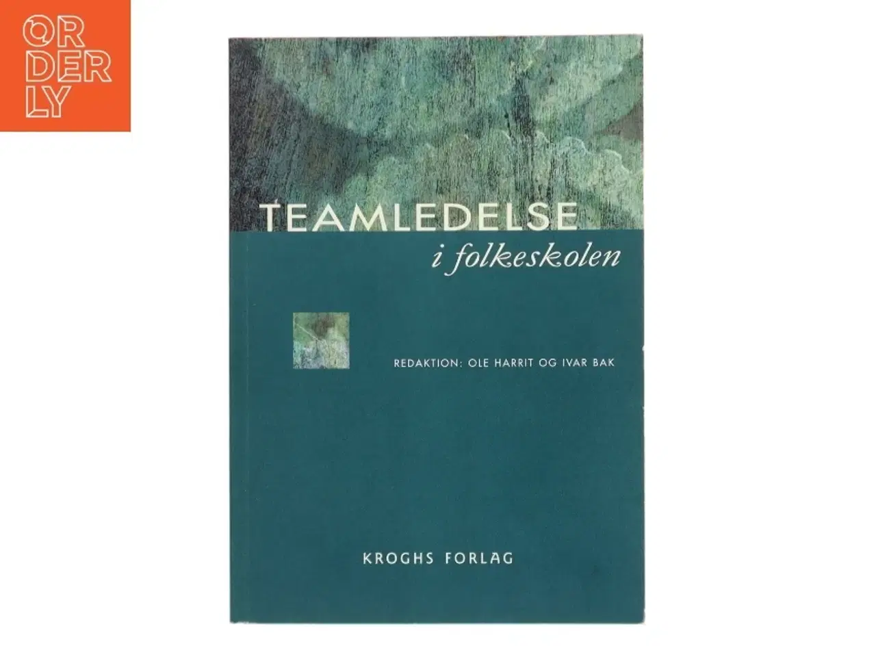 Billede 1 - Teamledelse i folkeskolen (Bog)