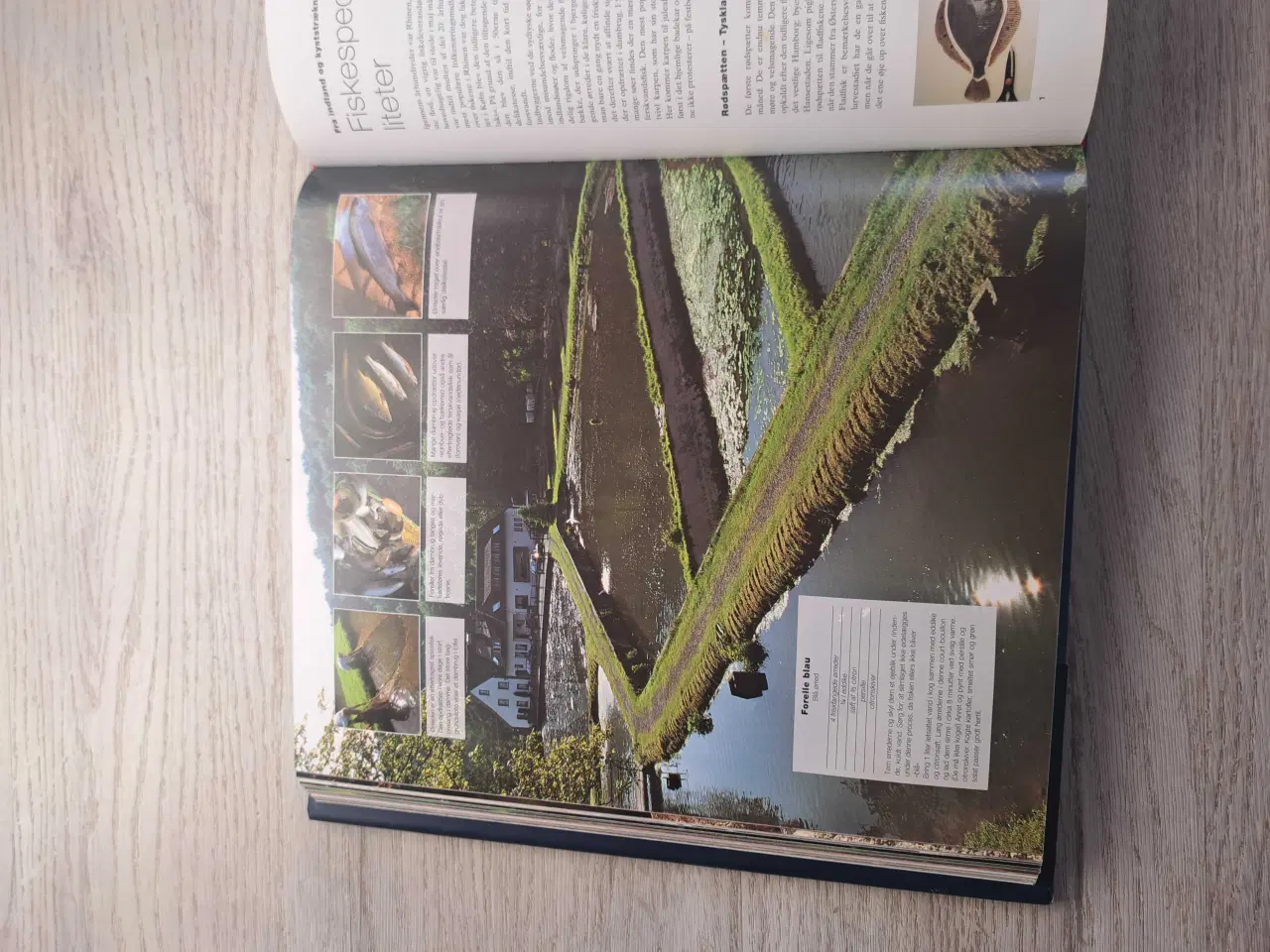 Billede 5 - Europæiske specialiteter