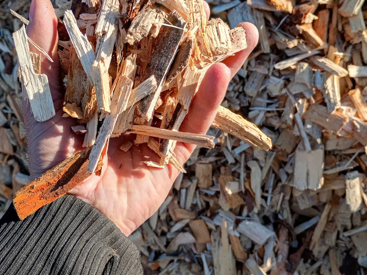 Billede 1 - Træflis til afdækning af bede