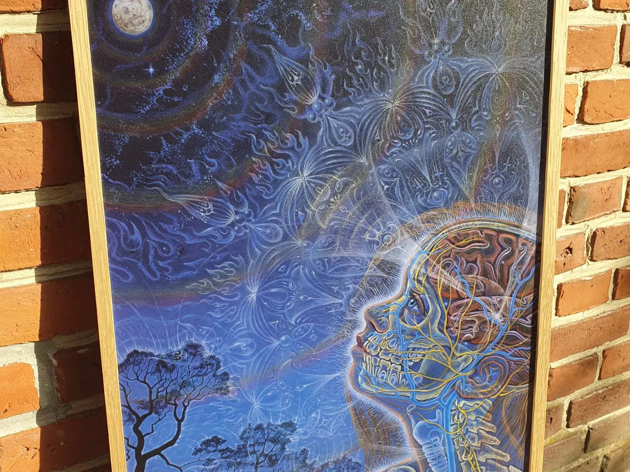 Billede 1 - Alex Grey billede m. specialramme – Wonder (Zena G