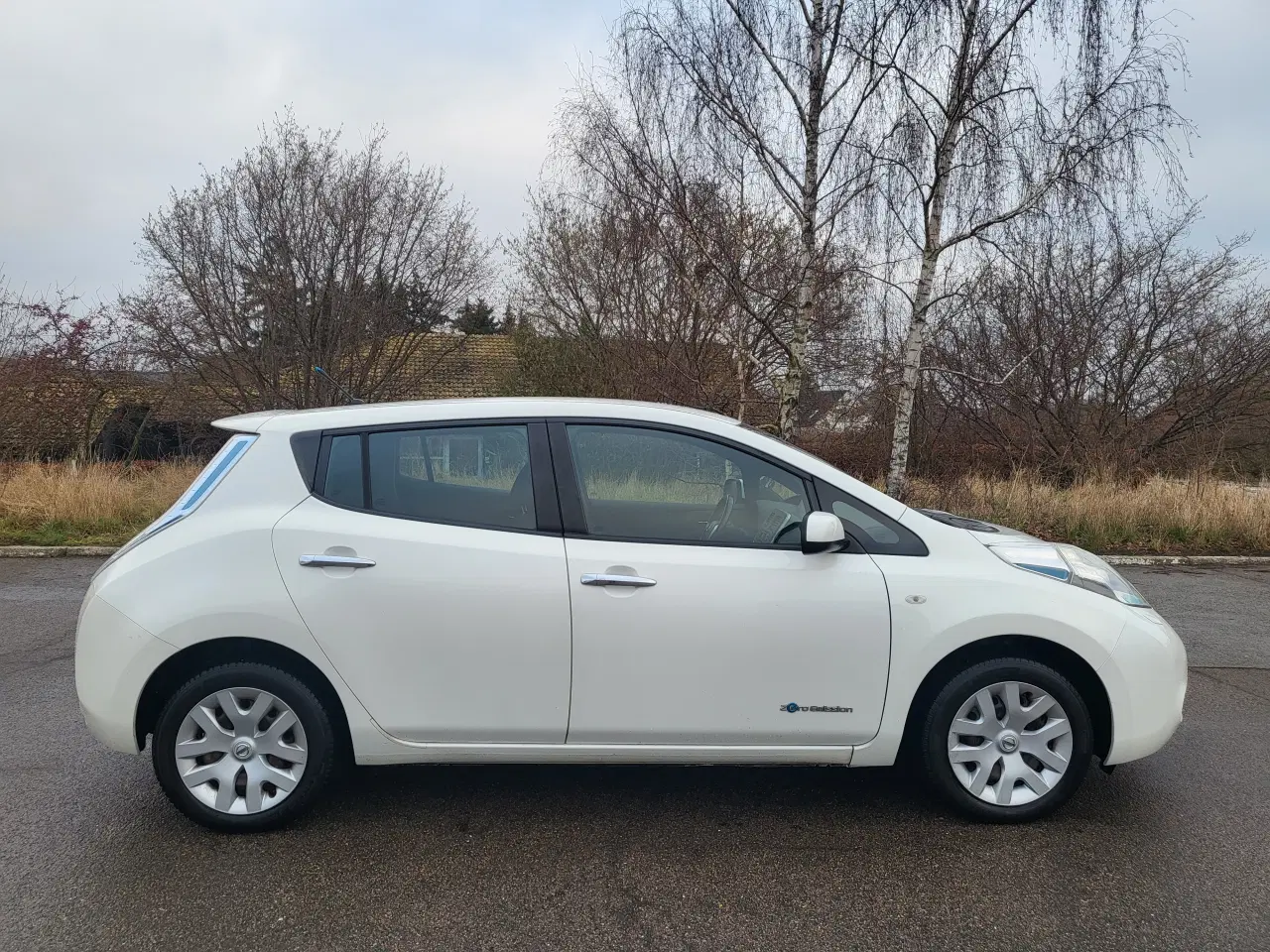 Billede 10 - Nissan Leaf EL