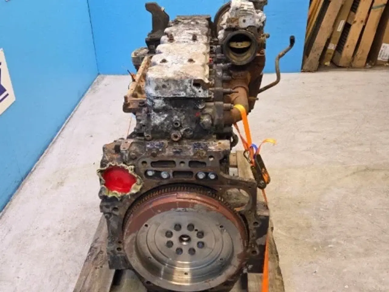 Billede 17 - Iveco F4DGE614H Motor 51693360