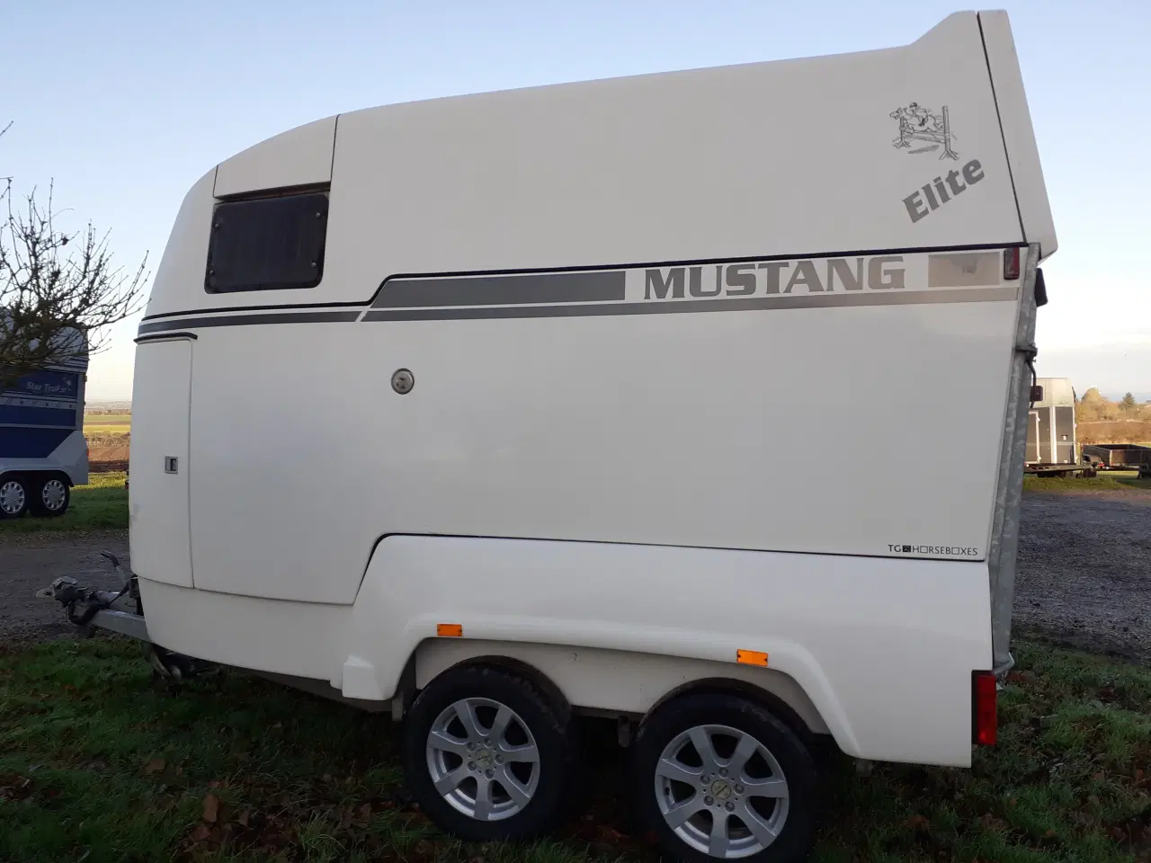 Billede 3 - Mustang Hestetrailer Elite Hvid 2018