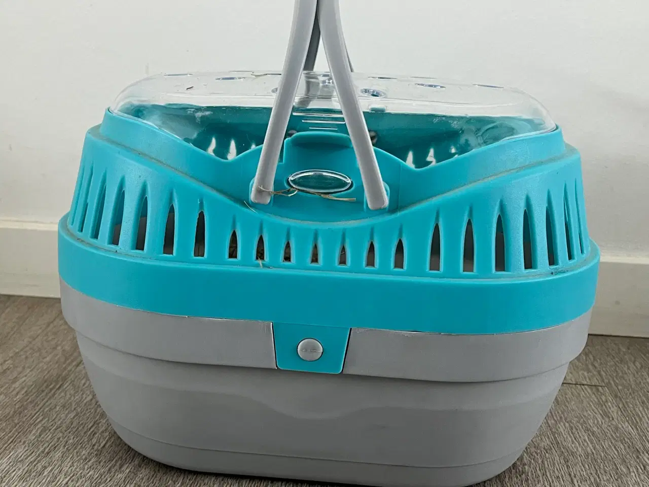 Billede 11 - To hun maresvin sælges med bur og alt tilbehør 