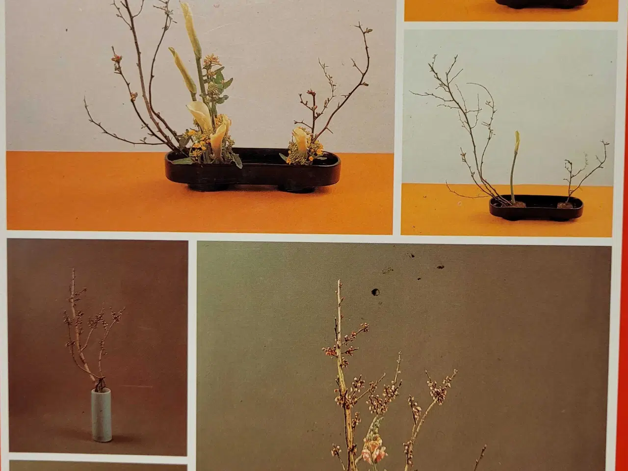 Billede 8 - Blomste bog fra Korea 