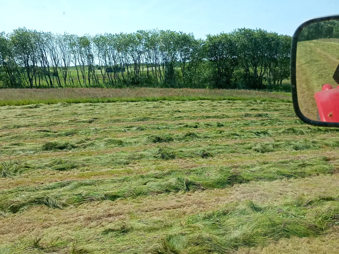 Billede 4 - Wrap hø græs