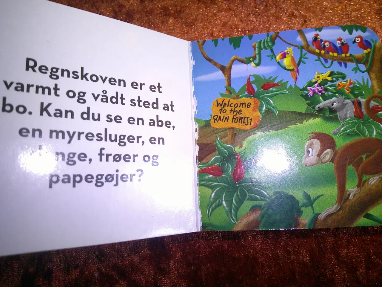 Billede 6 - Mickeys Klubhus, Disney,