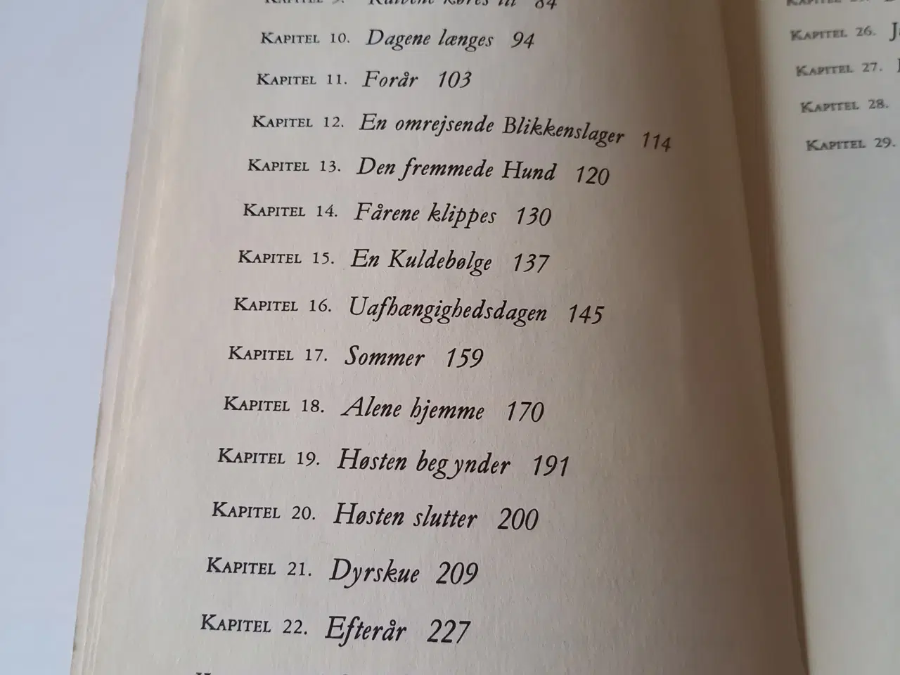 Billede 7 - Det lille Hus ved Floden og Drengen og Gården 