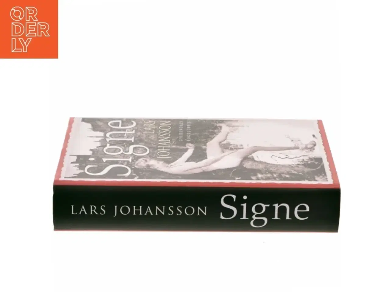 Billede 2 - Signe : roman af Lars Johansson (f. 1949) (Bog)