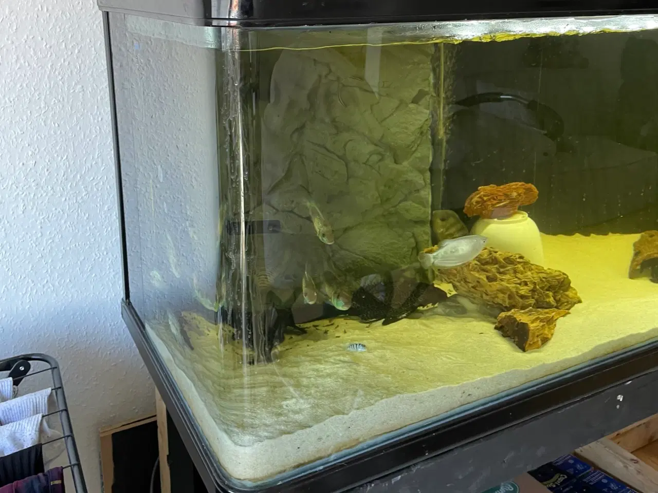 Billede 3 - 600 Liter akverie