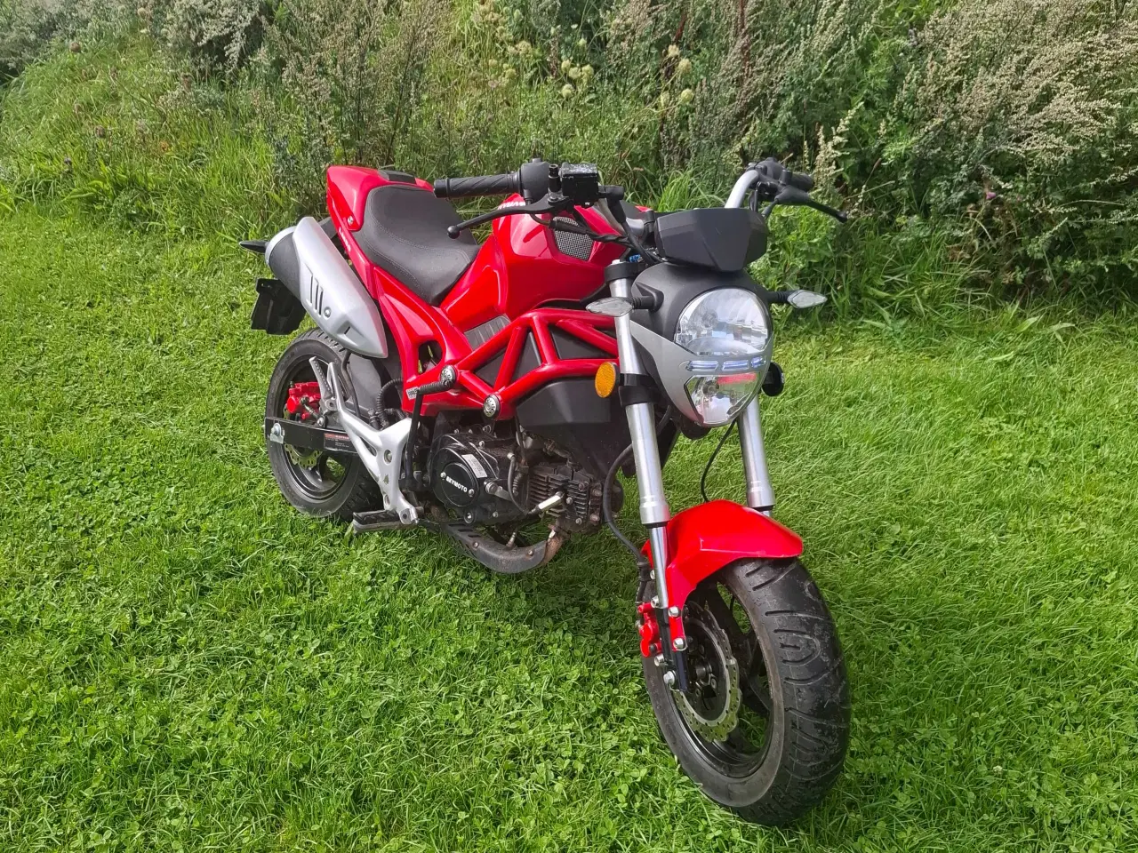 Billede 3 - SKYMOTO littel monster Knallert 30 