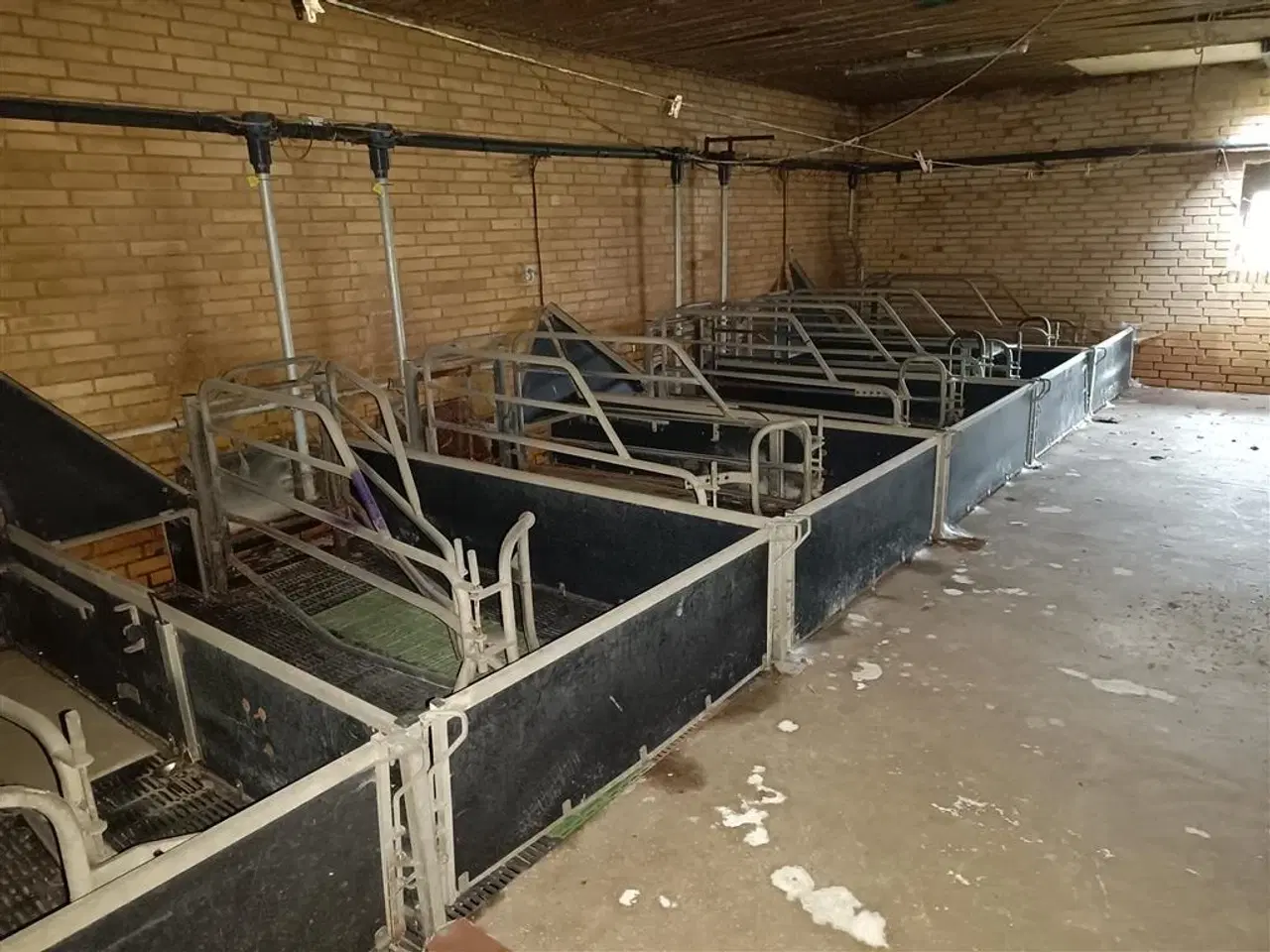 Billede 7 - - - - Sdr Vissing Farestier 36 stk.