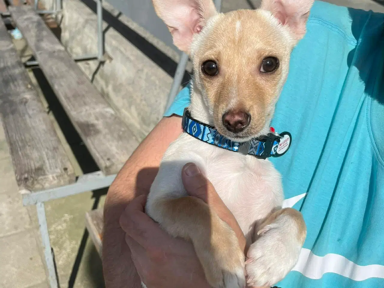 Billede 9 - Lille Mille 🩷