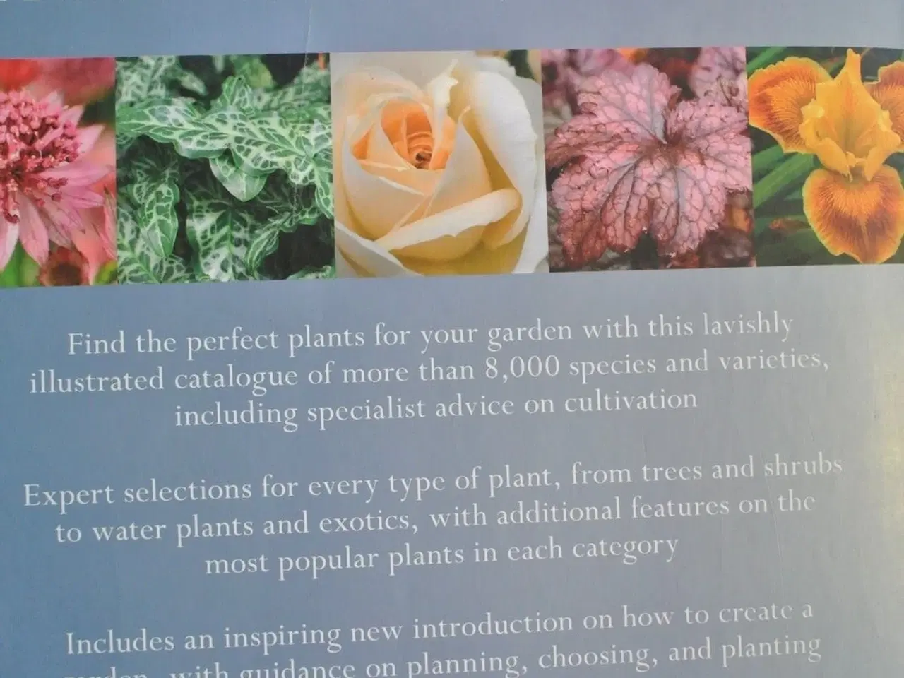 Billede 4 - encyclopedia of plants and flowers, edited by chri