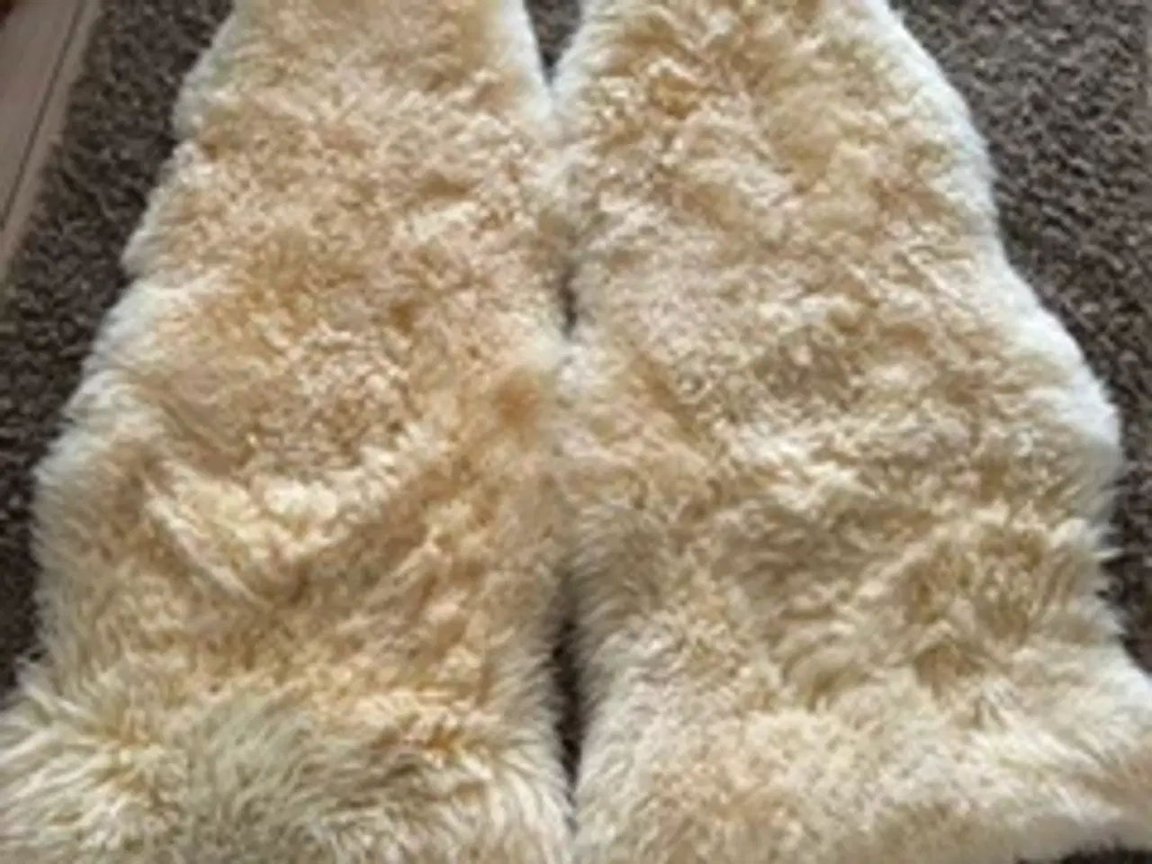 Billede 1 - 2 lammeskind